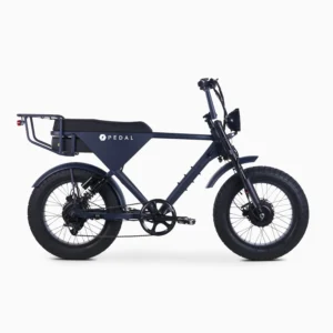 All Wheel Drive [S] Electric Bike